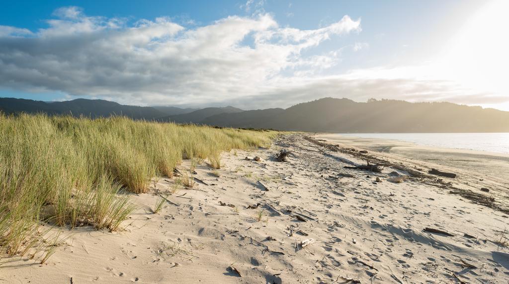 Golden Bay Hideaway Villa Takaka Eksteriør bilde